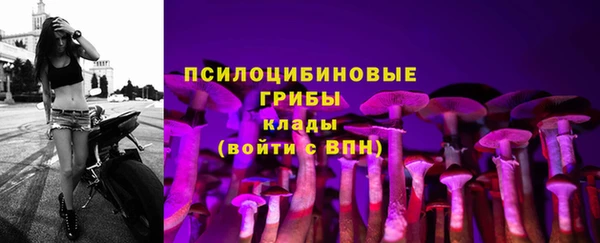 СК Балабаново