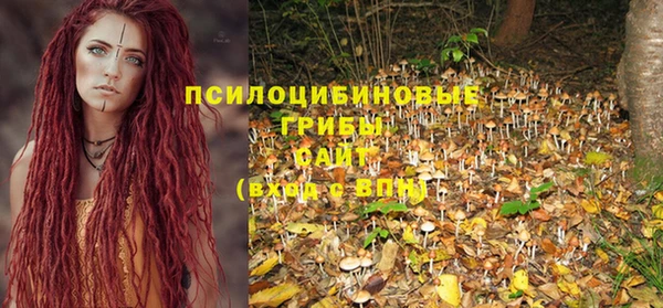 шишки Балахна