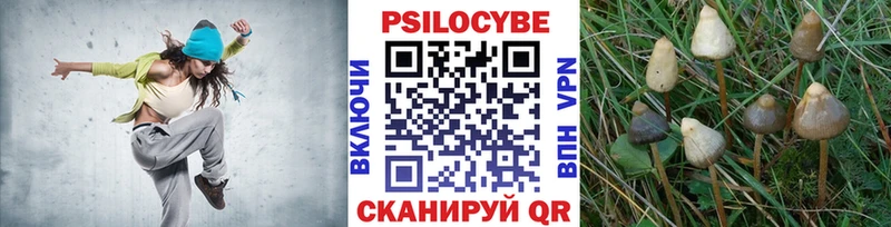 Псилоцибиновые грибы Psilocybe  закладка  Нижняя Тура 